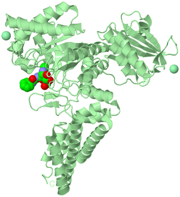 Image Biological Unit 2