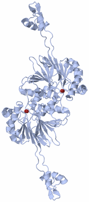 Image Biological Unit 1