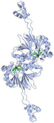 Image Biol. Unit 1 - sites