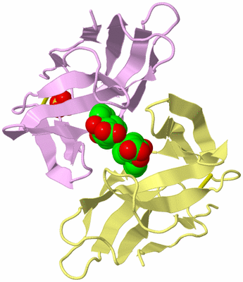 Image Biological Unit 3