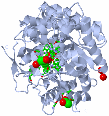 Image Biol. Unit 1 - sites