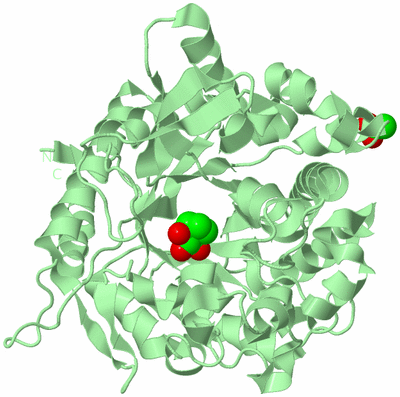 Image Biological Unit 2