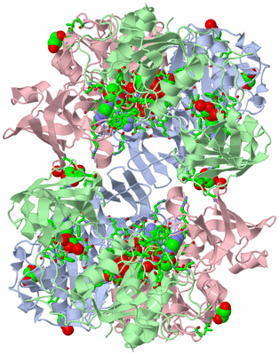 Image Biol. Unit 1 - sites