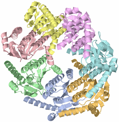 Image Asym./Biol. Unit