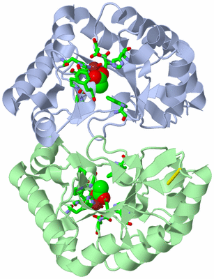 Image Asym./Biol. Unit - sites