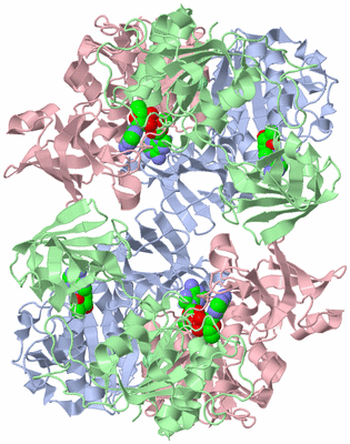 Image Biological Unit 1