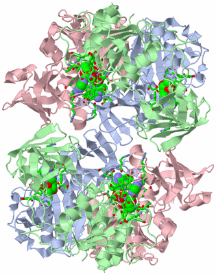 Image Biol. Unit 1 - sites