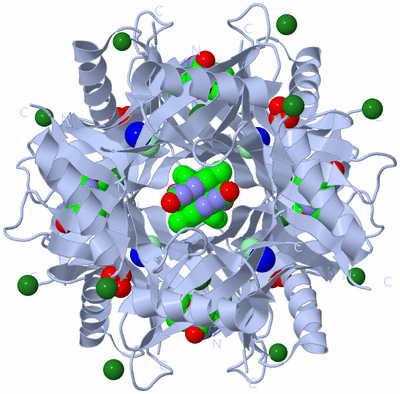 Image Biological Unit 1