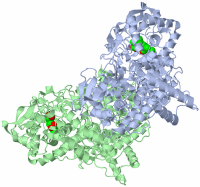 Image Asym./Biol. Unit