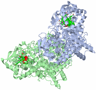 Image Asym./Biol. Unit - sites