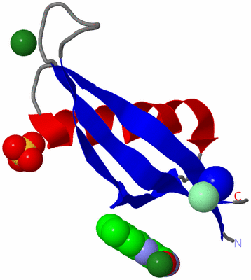 Image Asymmetric Unit