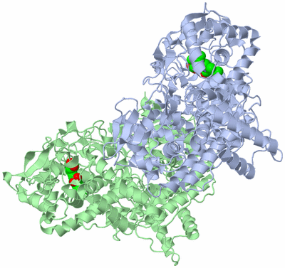 Image Asym./Biol. Unit