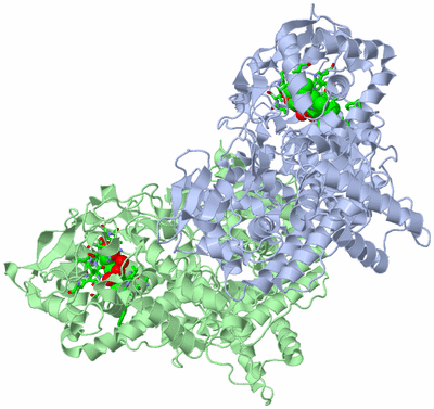 Image Asym./Biol. Unit - sites