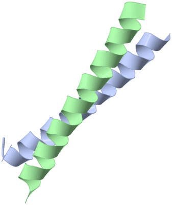 Image Asymmetric Unit