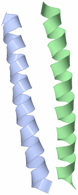 Image Asymmetric Unit