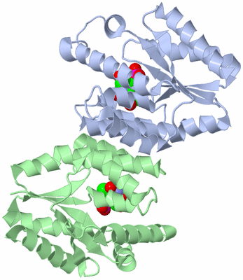 Image Asym./Biol. Unit