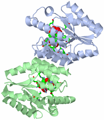 Image Asym./Biol. Unit - sites