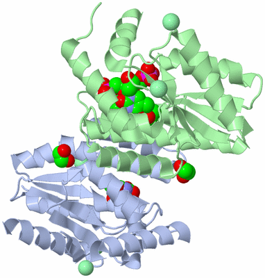 Image Asym./Biol. Unit