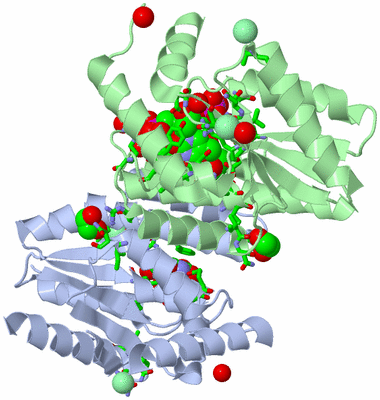 Image Asym./Biol. Unit - sites