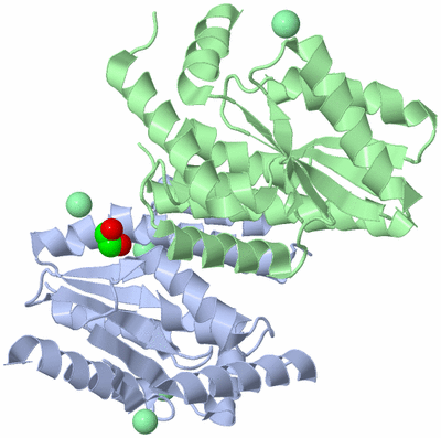 Image Asym./Biol. Unit