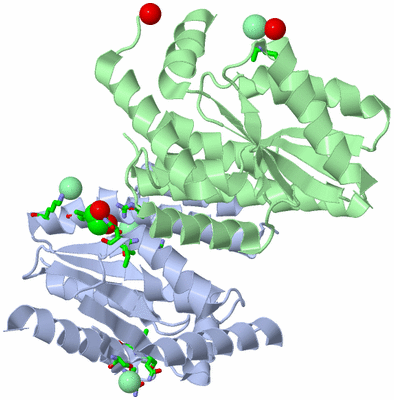 Image Asym./Biol. Unit - sites