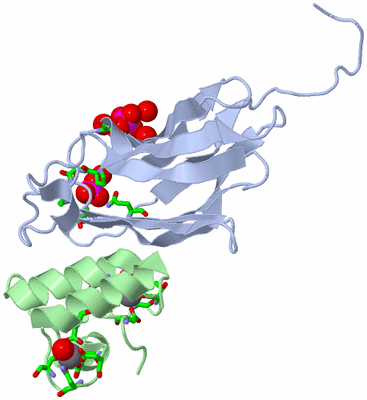 Image Biol. Unit 1 - sites