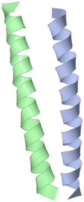 Image Asymmetric Unit