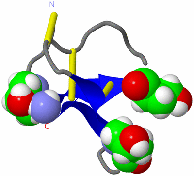 Image NMR Structure - model 1