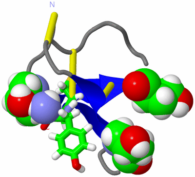 Image NMR Structure - model 1, sites