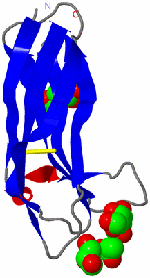 Image Asymmetric Unit