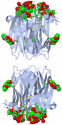 Image Biol. Unit 1 - sites