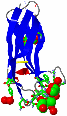 Image Asym. Unit - sites