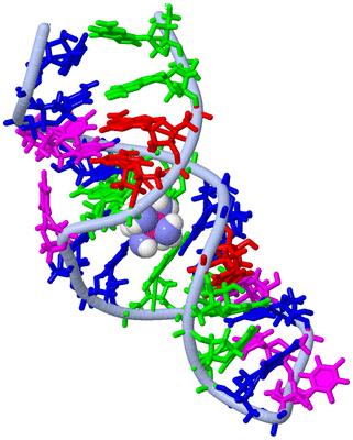 Image NMR Structure - model 1