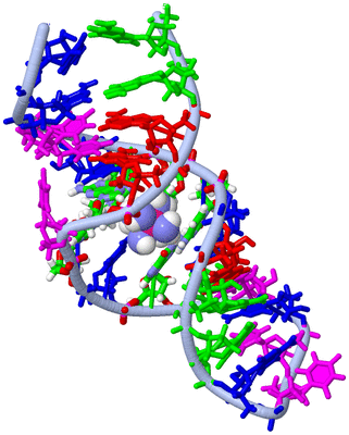 Image NMR Structure - model 1, sites