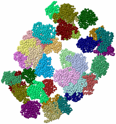 Image Asym./Biol. Unit