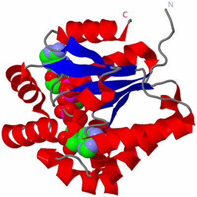 Image Asym./Biol. Unit