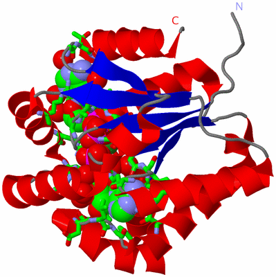 Image Asym./Biol. Unit - sites