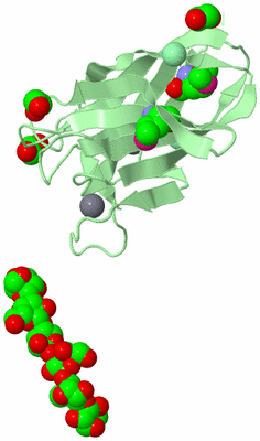 Image Biological Unit 2