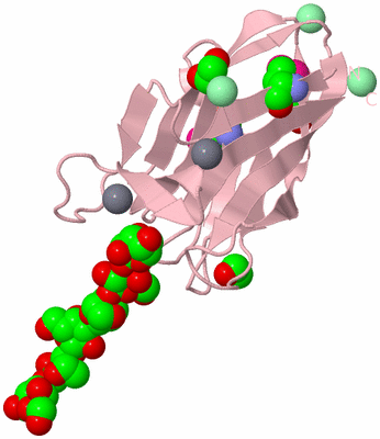 Image Biological Unit 3