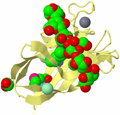 Image Biological Unit 4