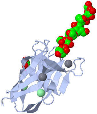 Image Biological Unit 1