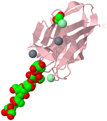 Image Biological Unit 3