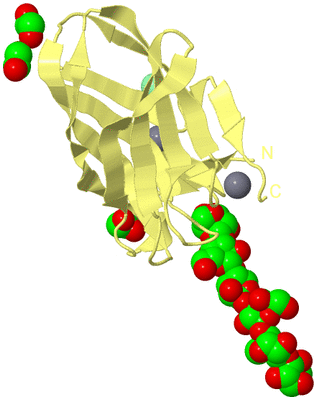 Image Biological Unit 4