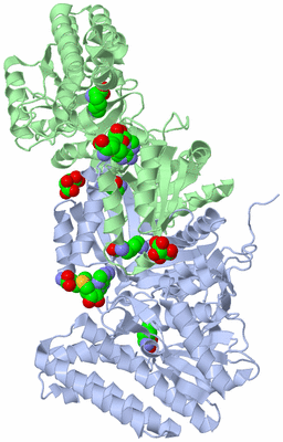 Image Asym./Biol. Unit