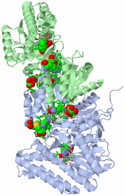 Image Asym./Biol. Unit - sites