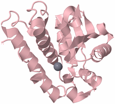 Image Biological Unit 3