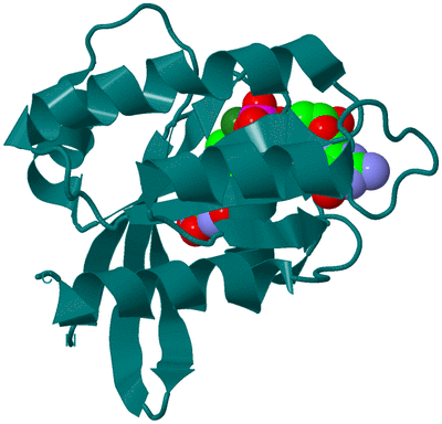 Image Biological Unit 1