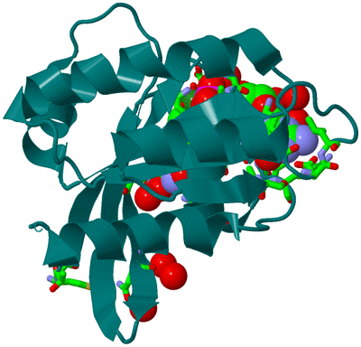 Image Biol. Unit 1 - sites