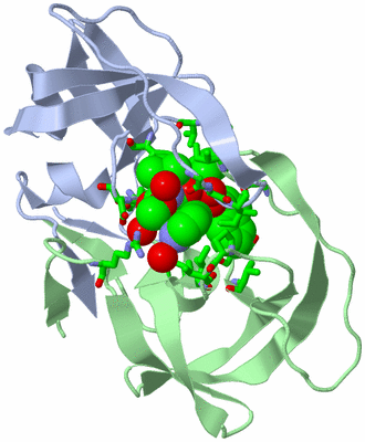 Image Asym./Biol. Unit - sites