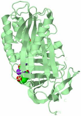 Image Biological Unit 2